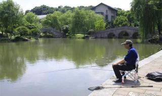 鱼塘被你承包了 鱼塘被你承包了